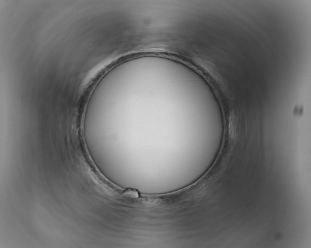 X0000110691452200906261333