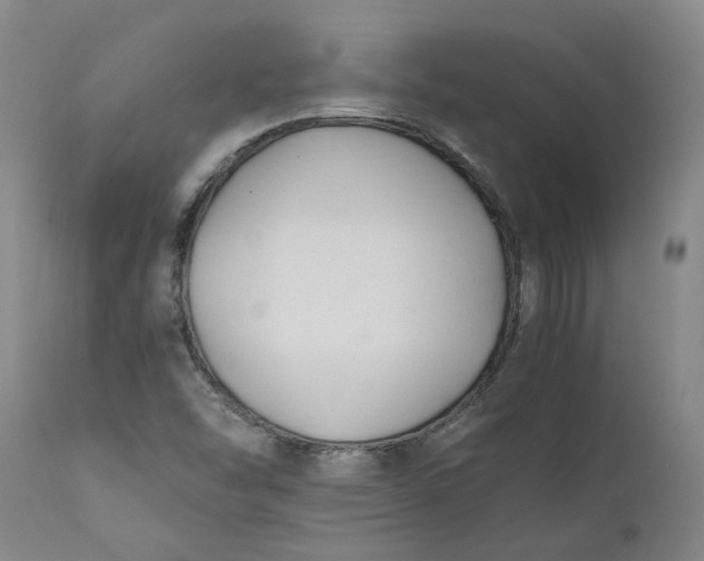 X0000110691454200906261333