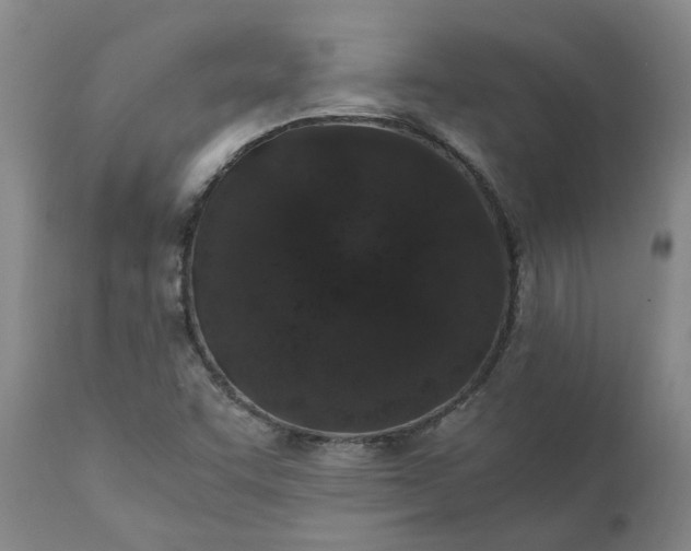 X0000110691455200906261333