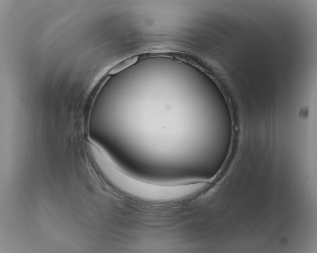 X0000110691457200906261333