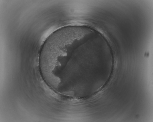 X0000110691459200906261332