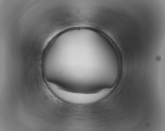 X0000110691460200906261332