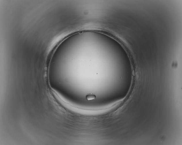 X0000110691461200906261332