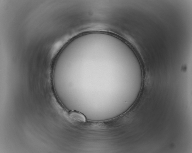 X0000110691464200906261332