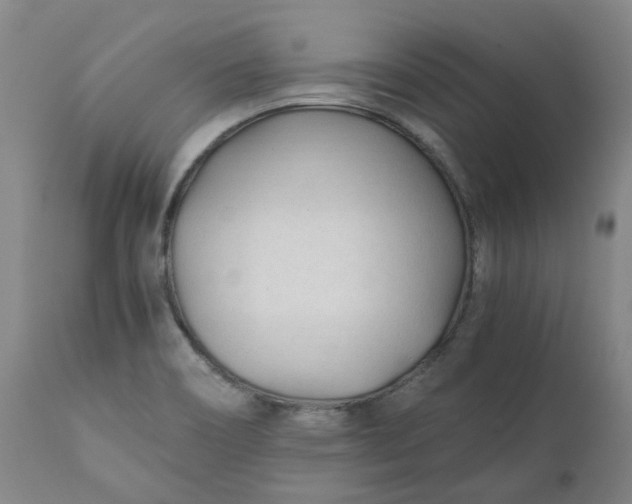 X0000110691466200906261332