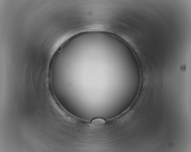 X0000110691469200906261332