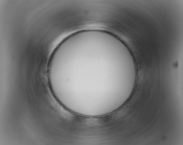 X0000110691470200906261332