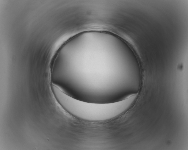 X0000110691472200906261332