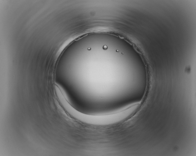 X0000110691473200906261332