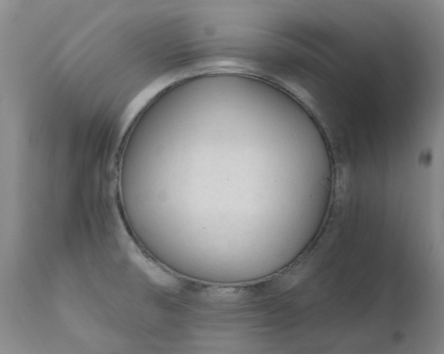 X0000110691474200906261332