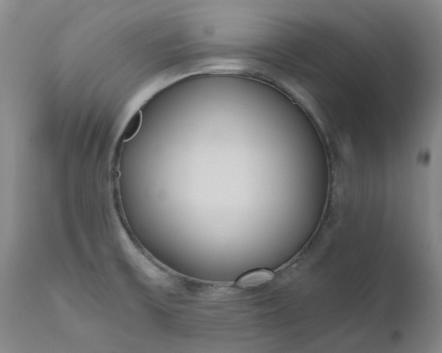 X0000110691475200906261332