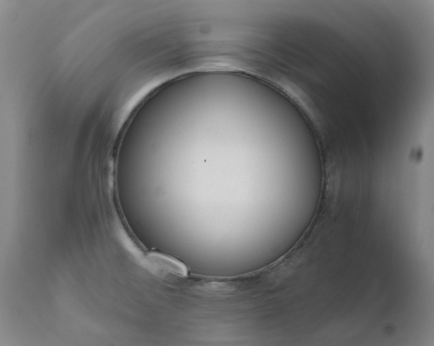 X0000110691476200906261332