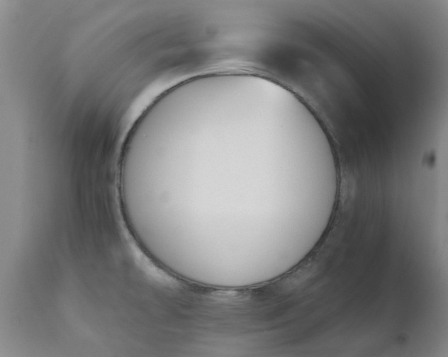 X0000110691478200906261332