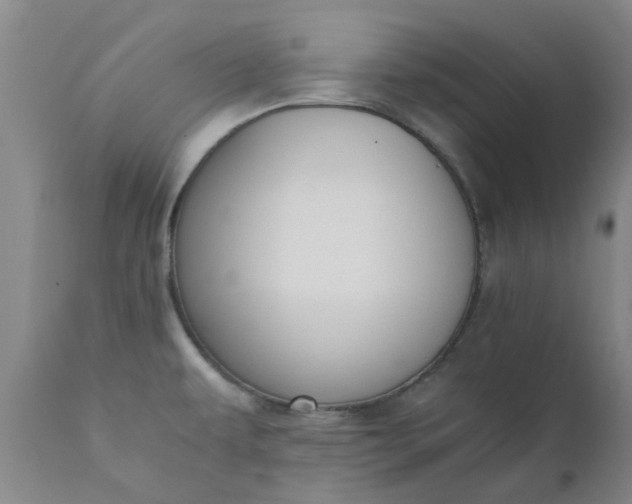 X0000110691479200906261332