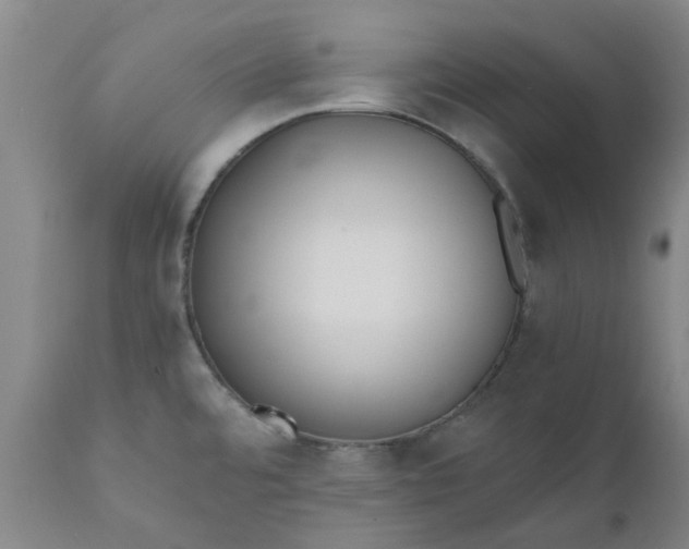 X0000110691480200906261332