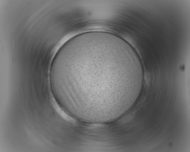 X0000110691482200906261332