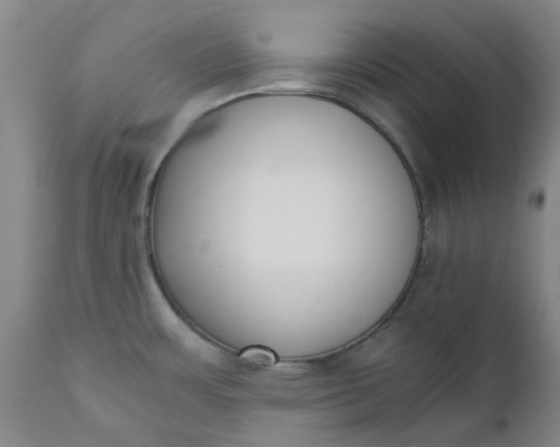 X0000110691483200906261332