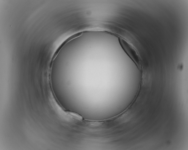 X0000110691484200906261332