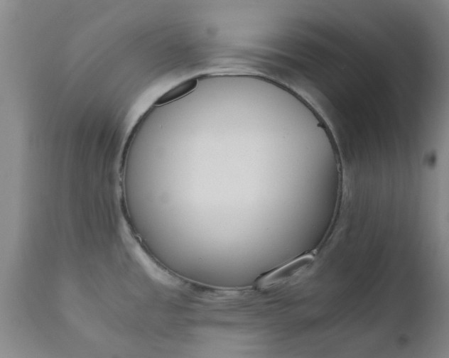 X0000110691485200906261332