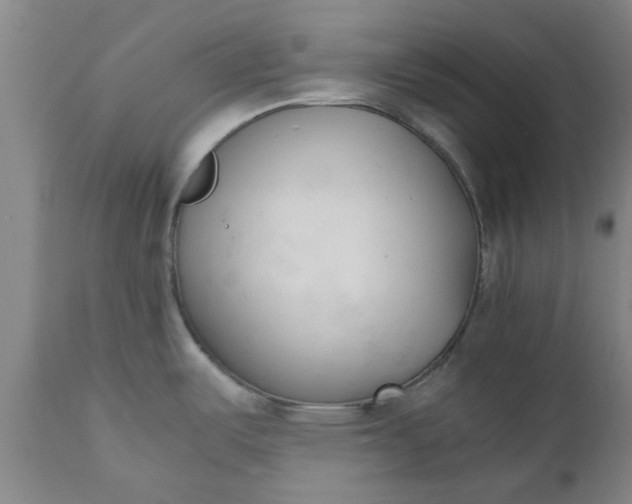 X0000110691487200906261332