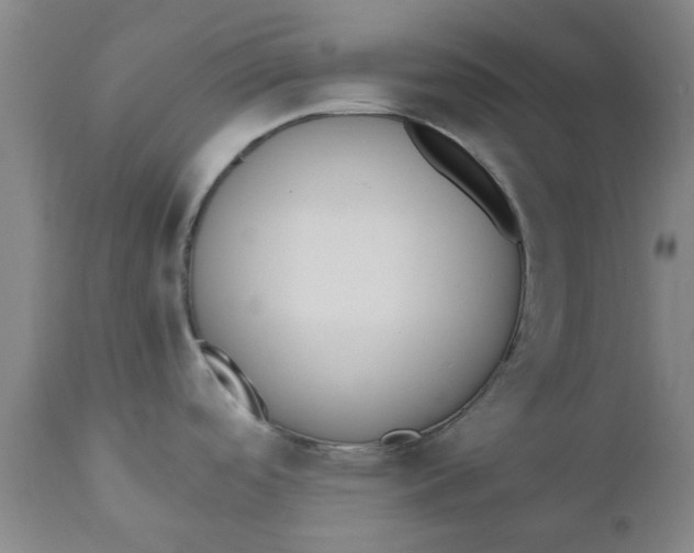 X0000110691488200906261332