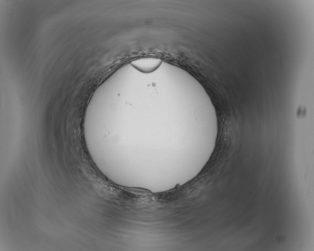 X0000110691489200906261331