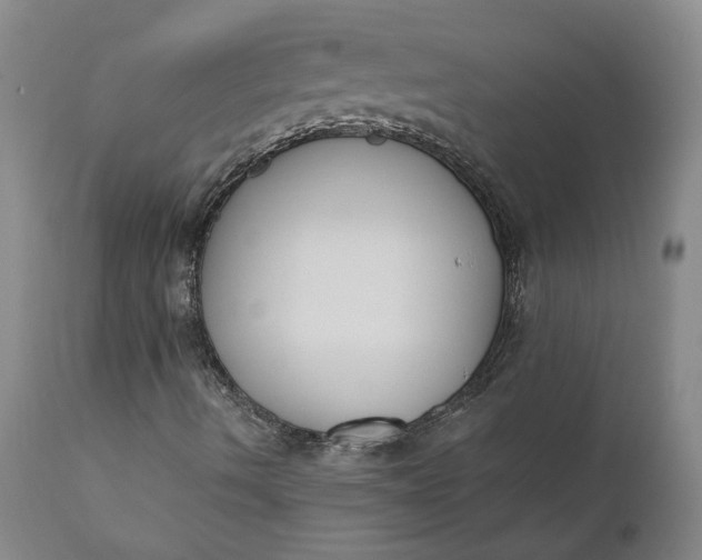 X0000110691490200906261331