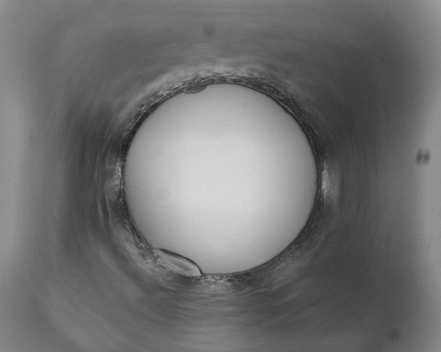 X0000110691492200906261331