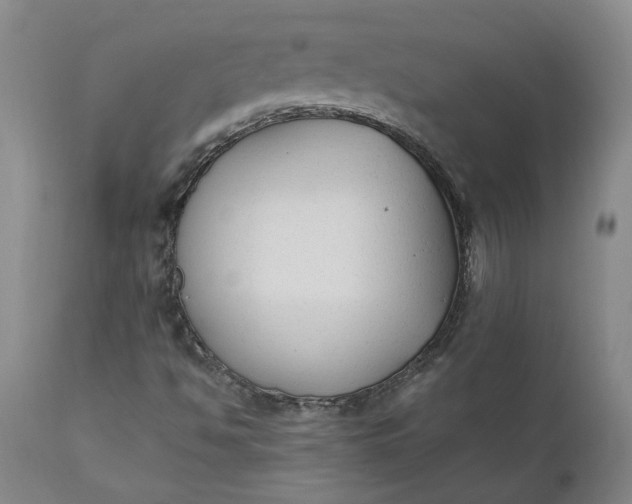 X0000110691494200906261331