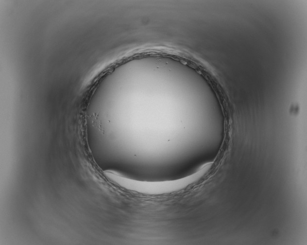 X0000110691496200906261332