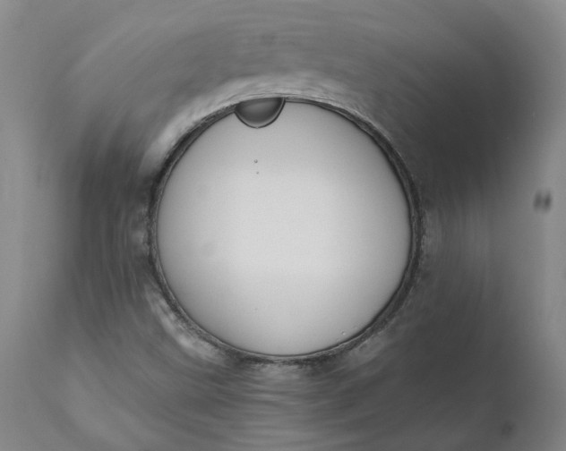 X0000110691499200906261332