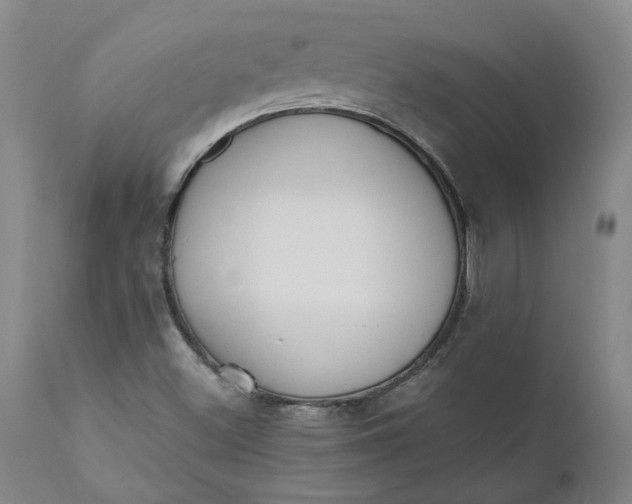 X0000110691500200906261332