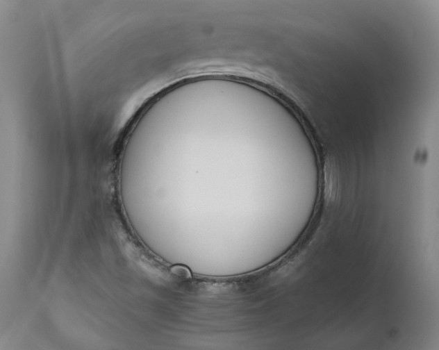 X0000110691501200906261332