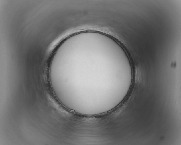 X0000110691502200906261332