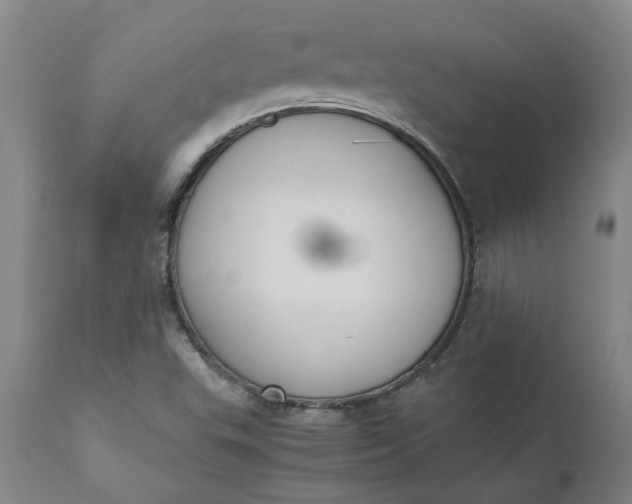 X0000110691503200906261332