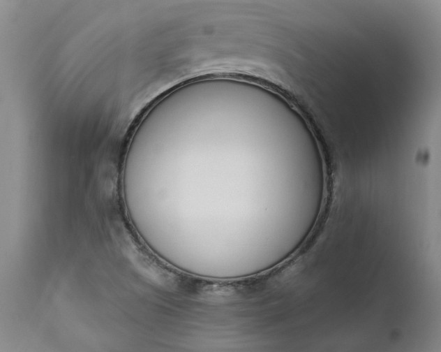 X0000110691505200906261332