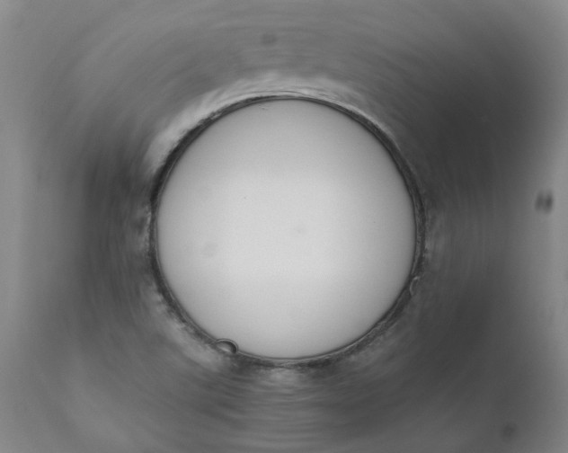 X0000110691507200906261332