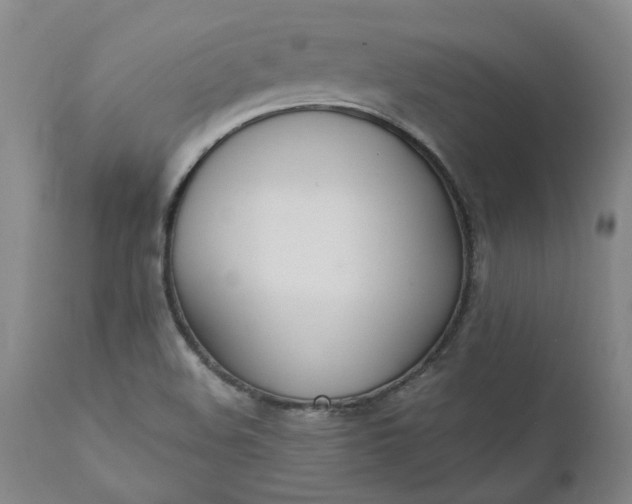 X0000110691508200906261332