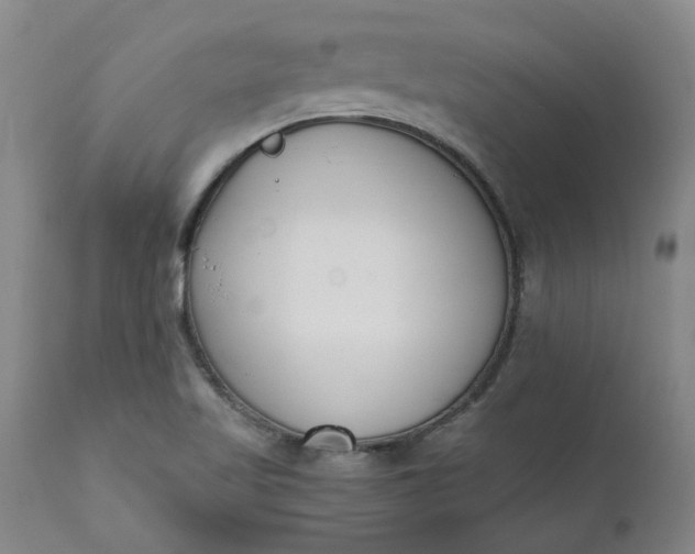 X0000110691509200906261332