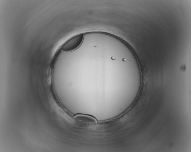 X0000110691510200906261332