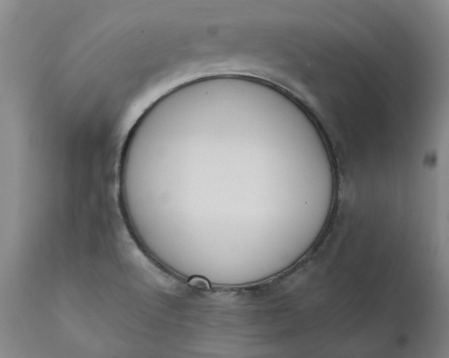 X0000110691512200906261332