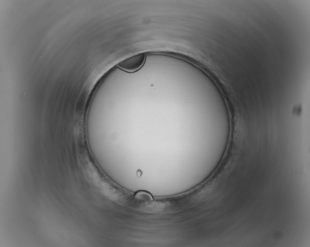 X0000110691513200906261332