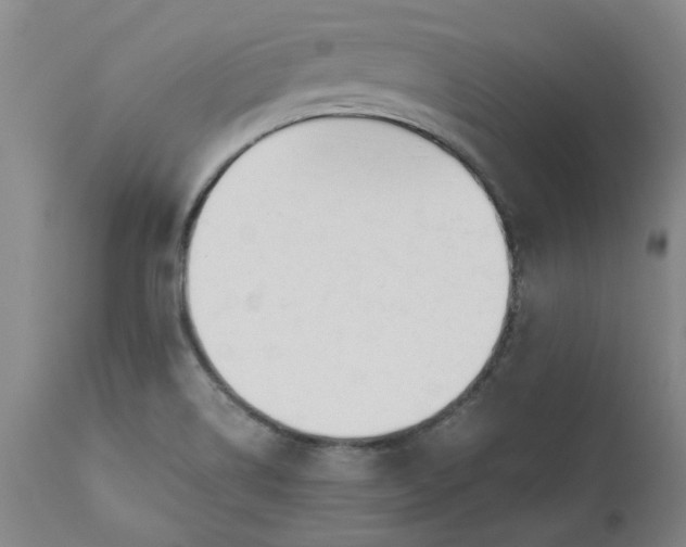 X0000110691514200906261332