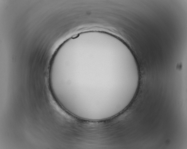 X0000110691518200906261332