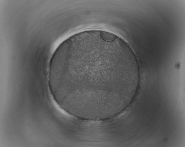 X0000110691519200906261332