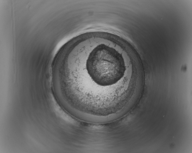 X0000110691522200906261332