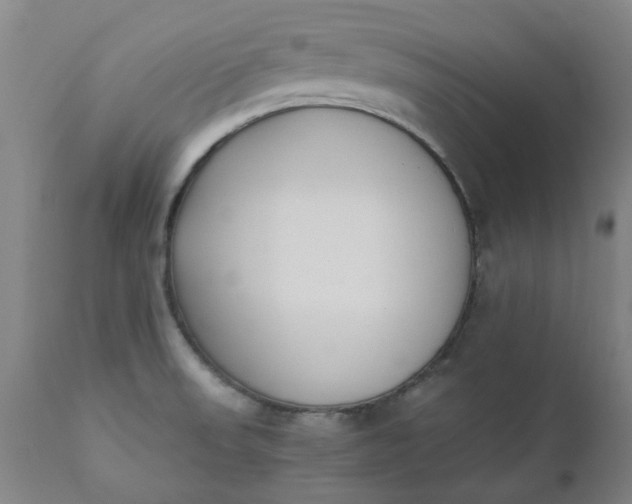 X0000110691523200906261332