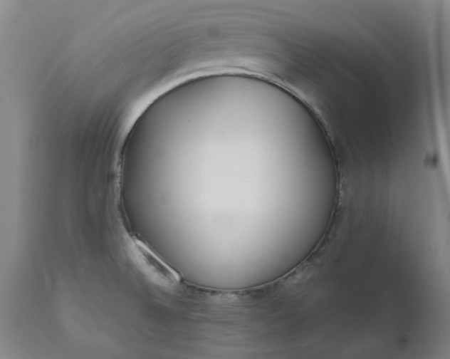 X0000110691524200906261332