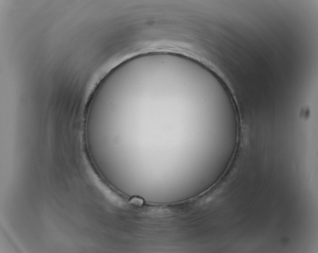 X0000110691525200906261332