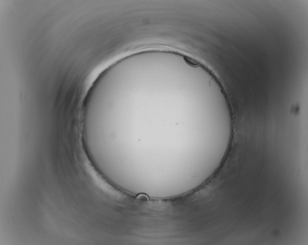 X0000110691526200906261332